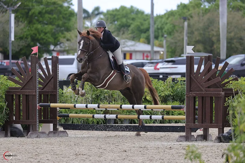 Girl jumping a horse