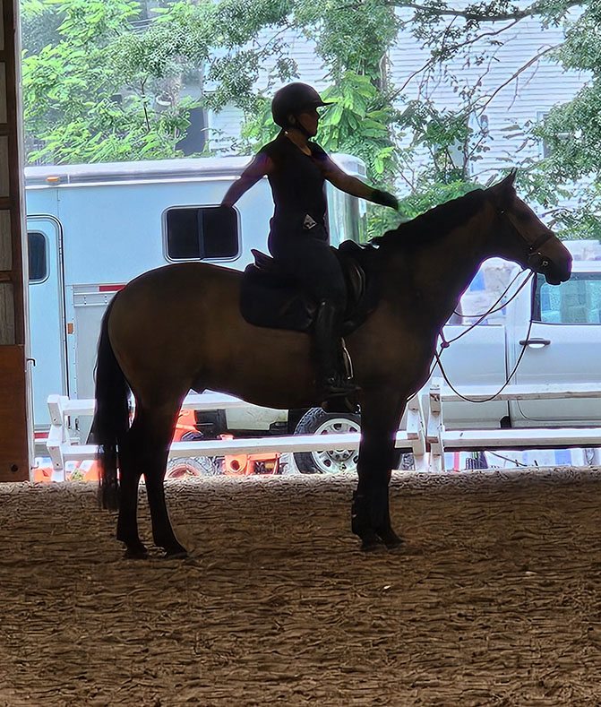 Tailored Horse Lessons